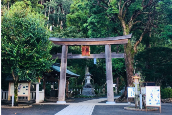 高麗神社 埼玉 日高 初詣