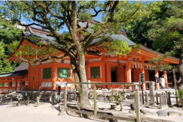 筑前國一之宮 住吉神社 福岡 博多 初詣