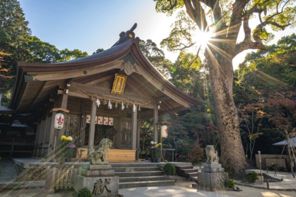 宝満宮 竈門神社 福岡 太宰府 初詣