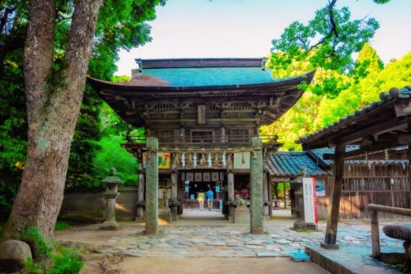 櫻井神社 糸島 福岡 初詣