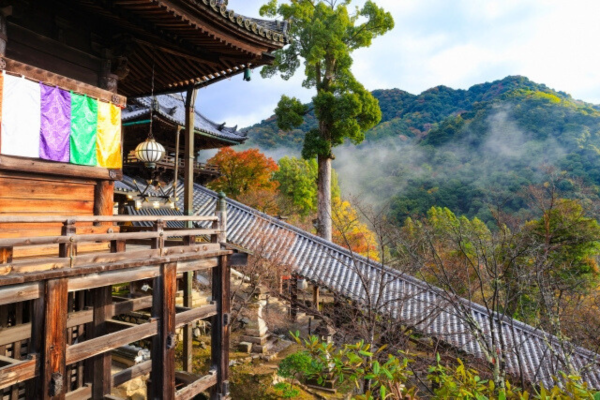 長谷寺 奈良 初詣