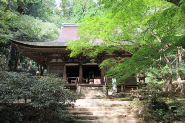 室生寺 奈良 初詣