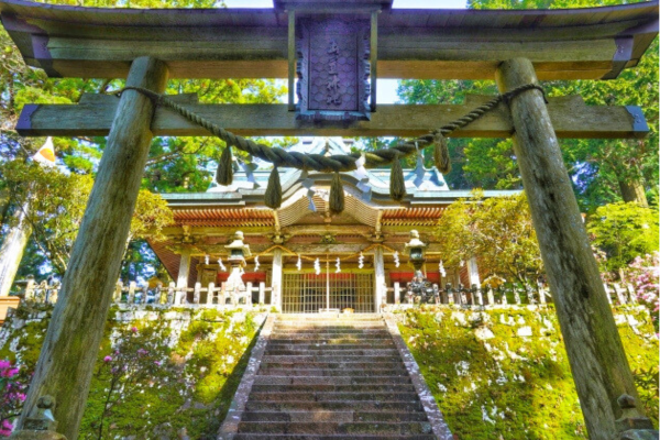 玉置神社 奈良 初詣