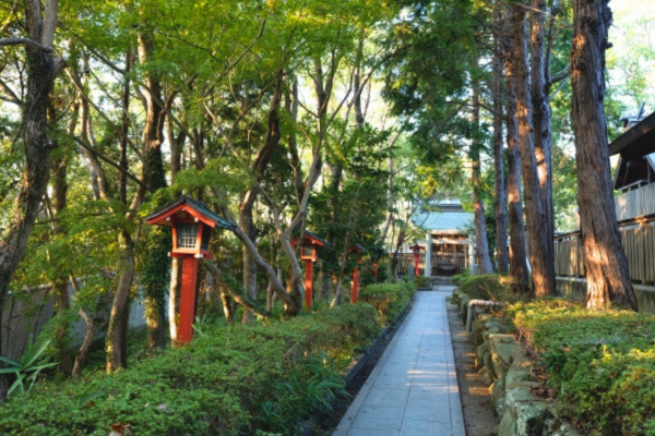 おのころ島神社 兵庫 淡路 初詣