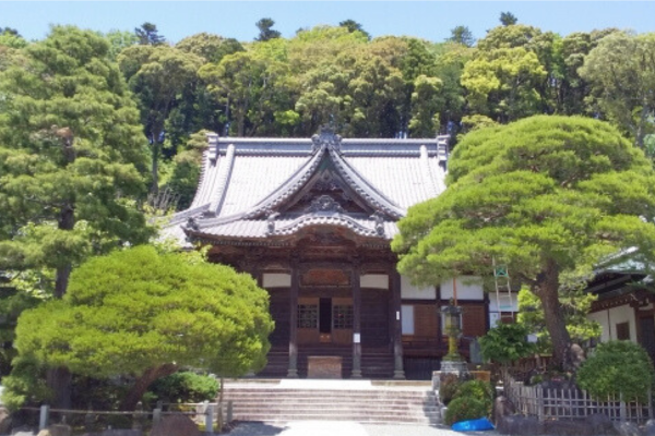 修禅寺 静岡 伊豆 初詣