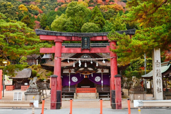 白鬚神社 滋賀 高島 初詣