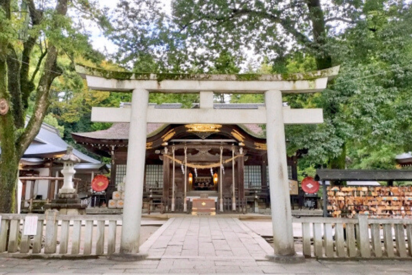 武田神社 山梨 甲府 初詣