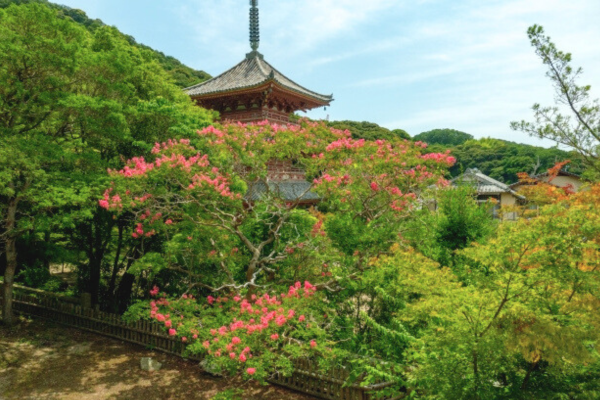 太山寺 兵庫 神戸