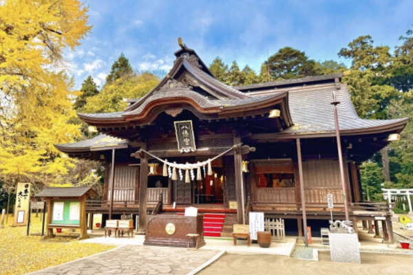 水戸八幡宮 水戸 茨城 初詣