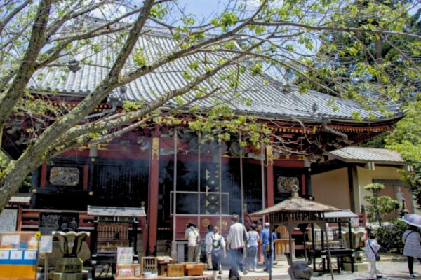 雨引観音 楽法寺 茨城 初詣