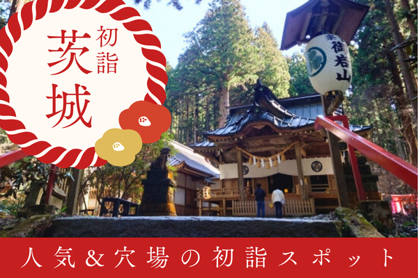 茨城 初詣 神社 お寺