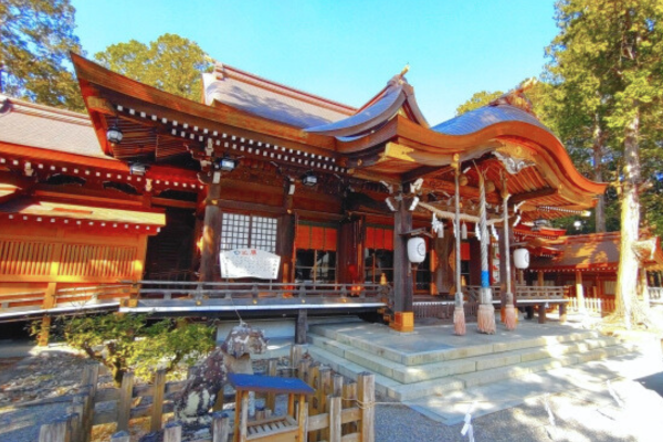 大麻比古神社 徳島 初詣