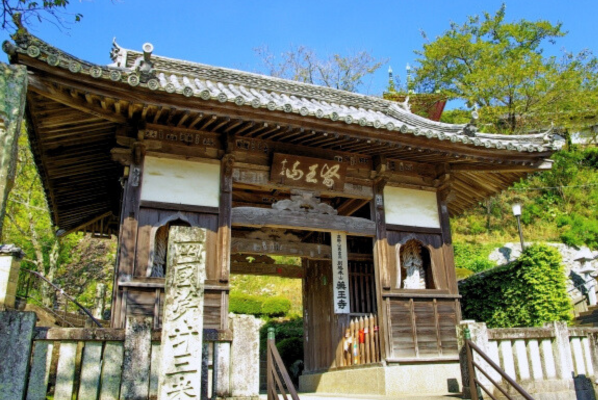 薬王寺 徳島 初詣