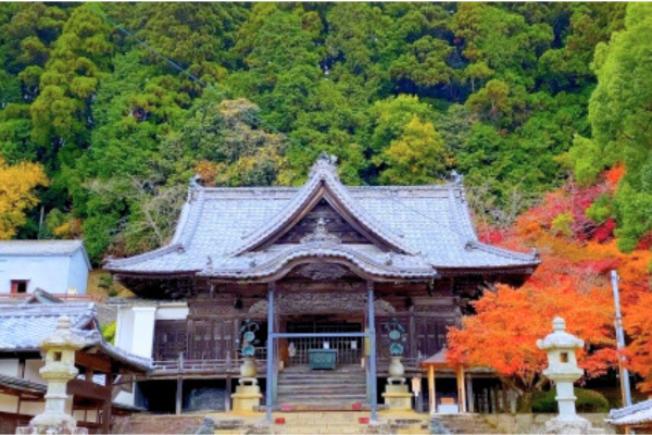 箸蔵寺 徳島 初詣