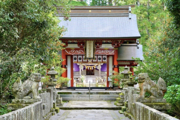 宇奈岐日女神社 大分 初詣