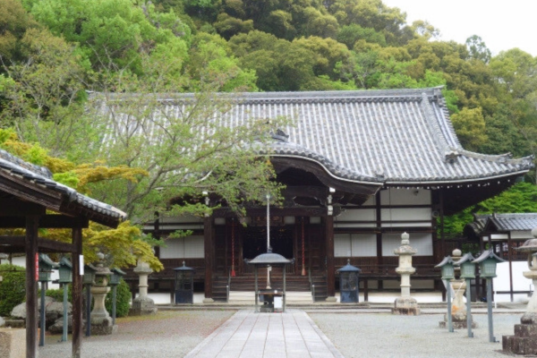 根来寺 和歌山 初詣