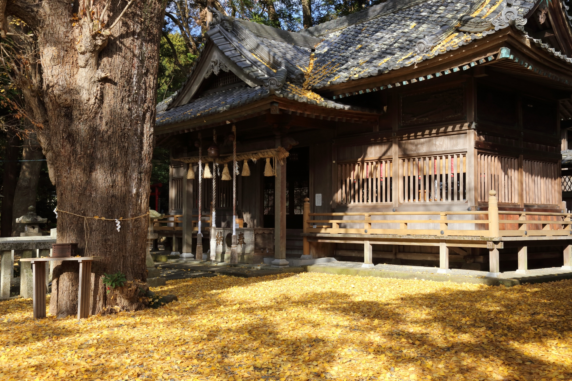 事任八幡宮｜掛川市八坂