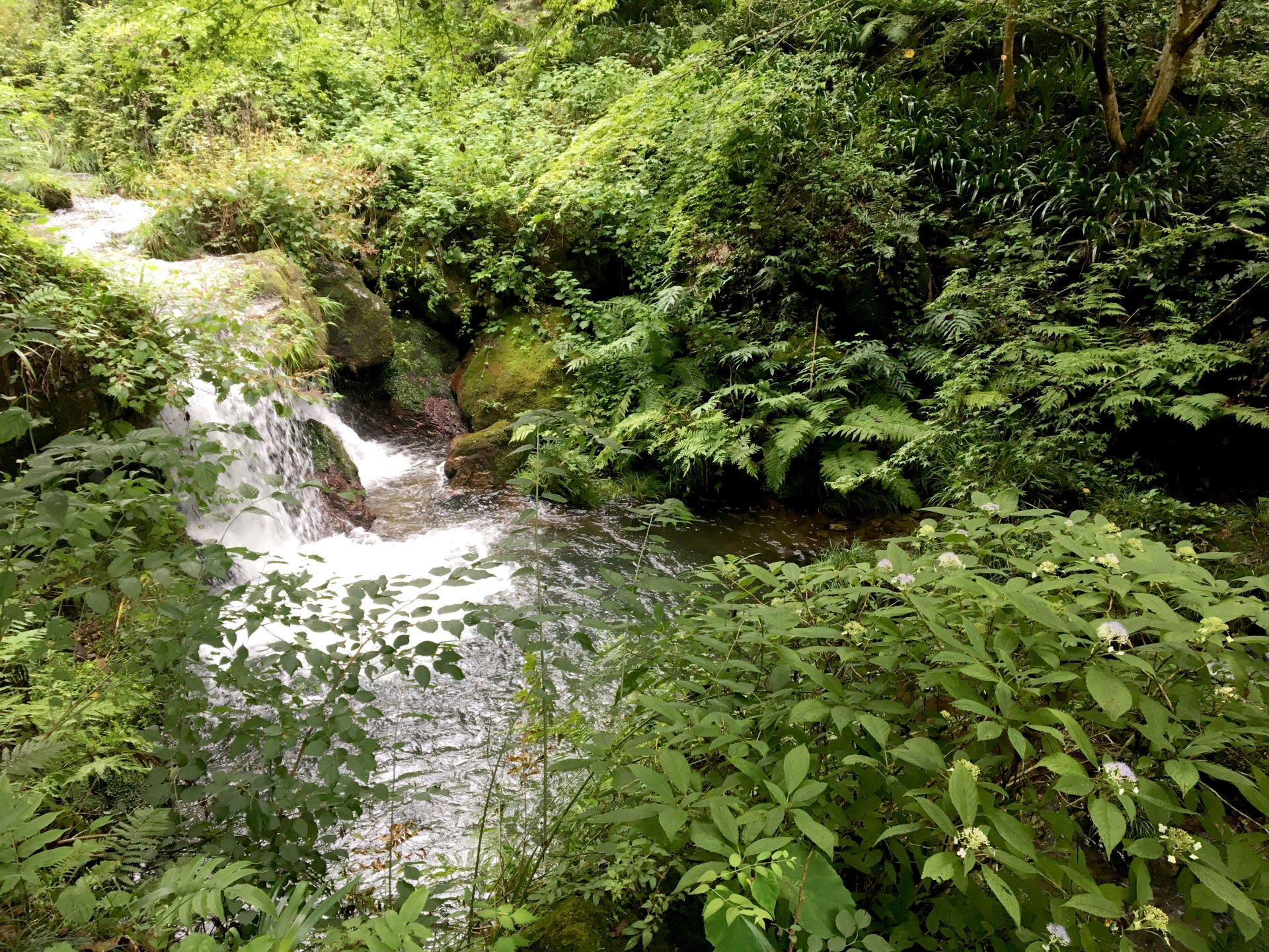 黒山三滝｜入間郡越生町大字黒山