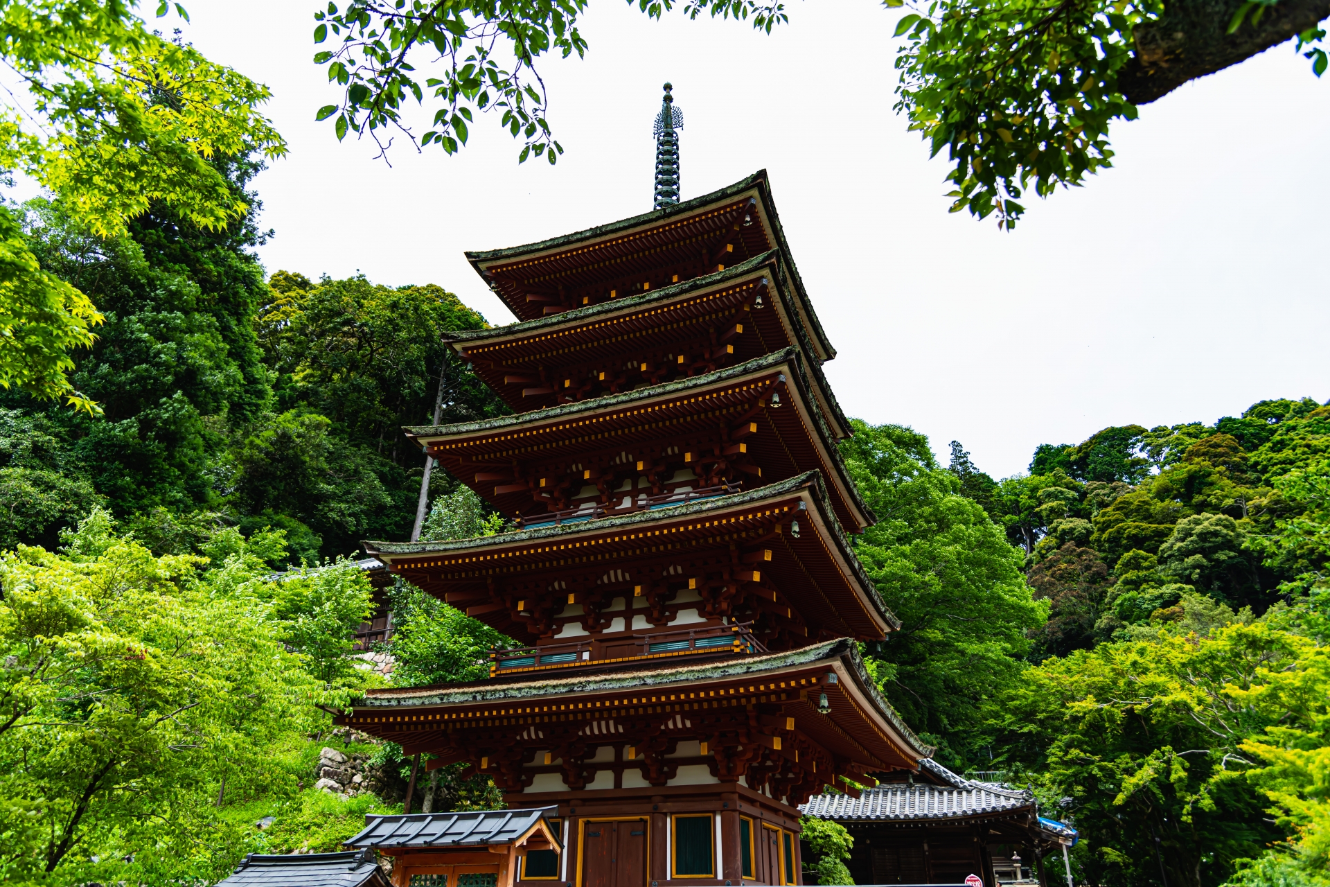 長谷寺｜桜井市初瀬