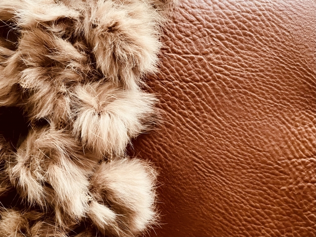 皮毛 本革