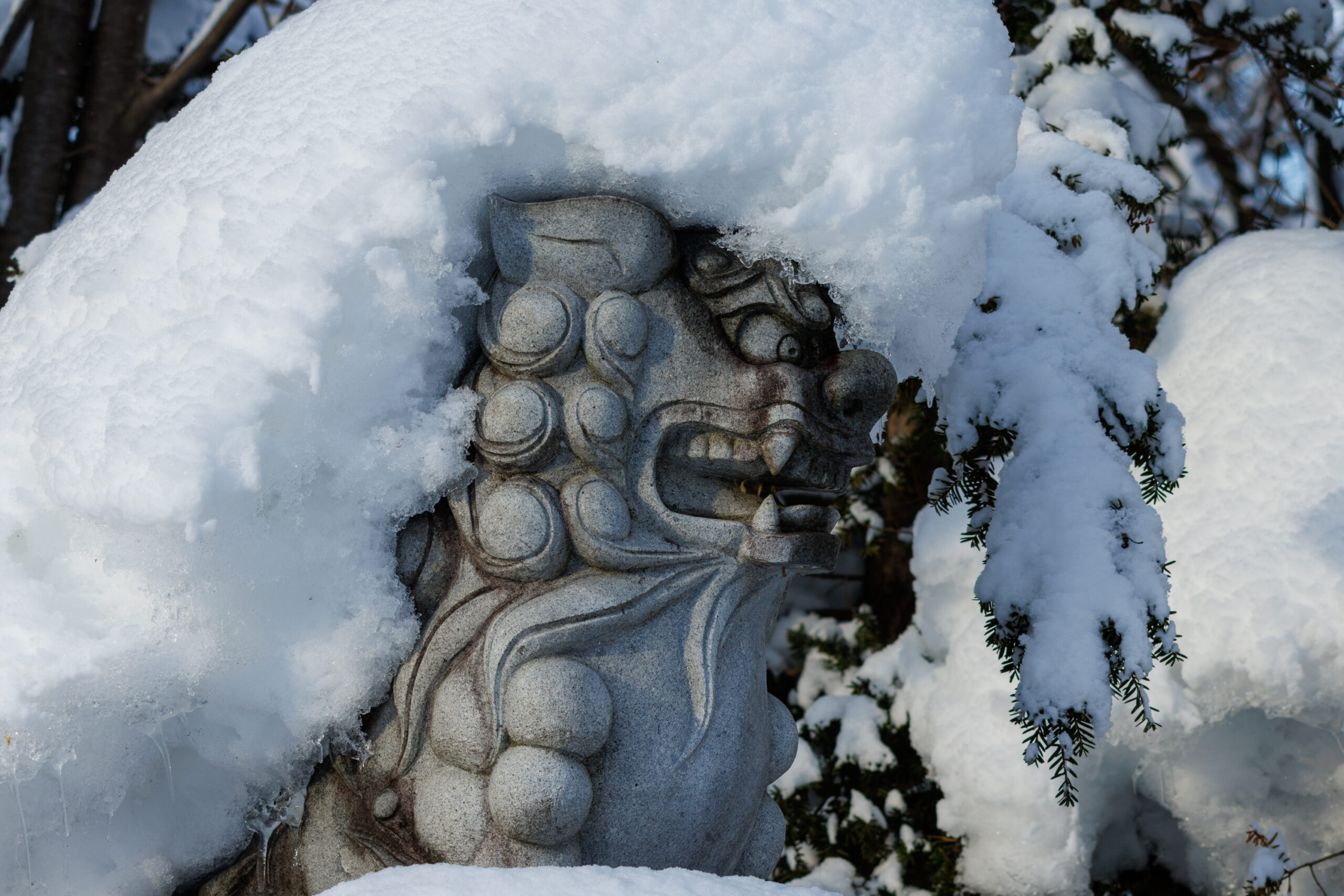 永山神社｜旭川市永山