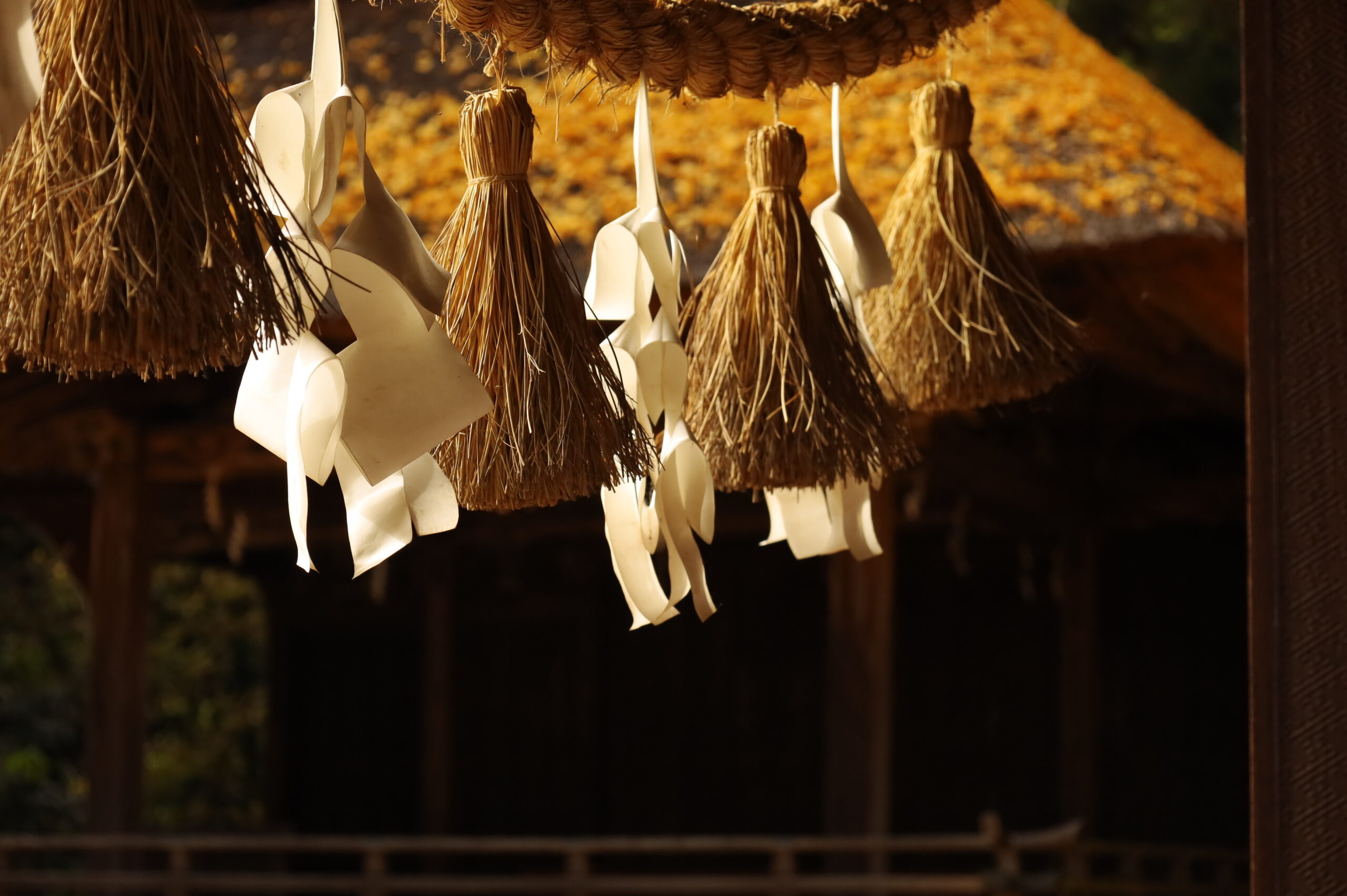 玉敷神社|加須市