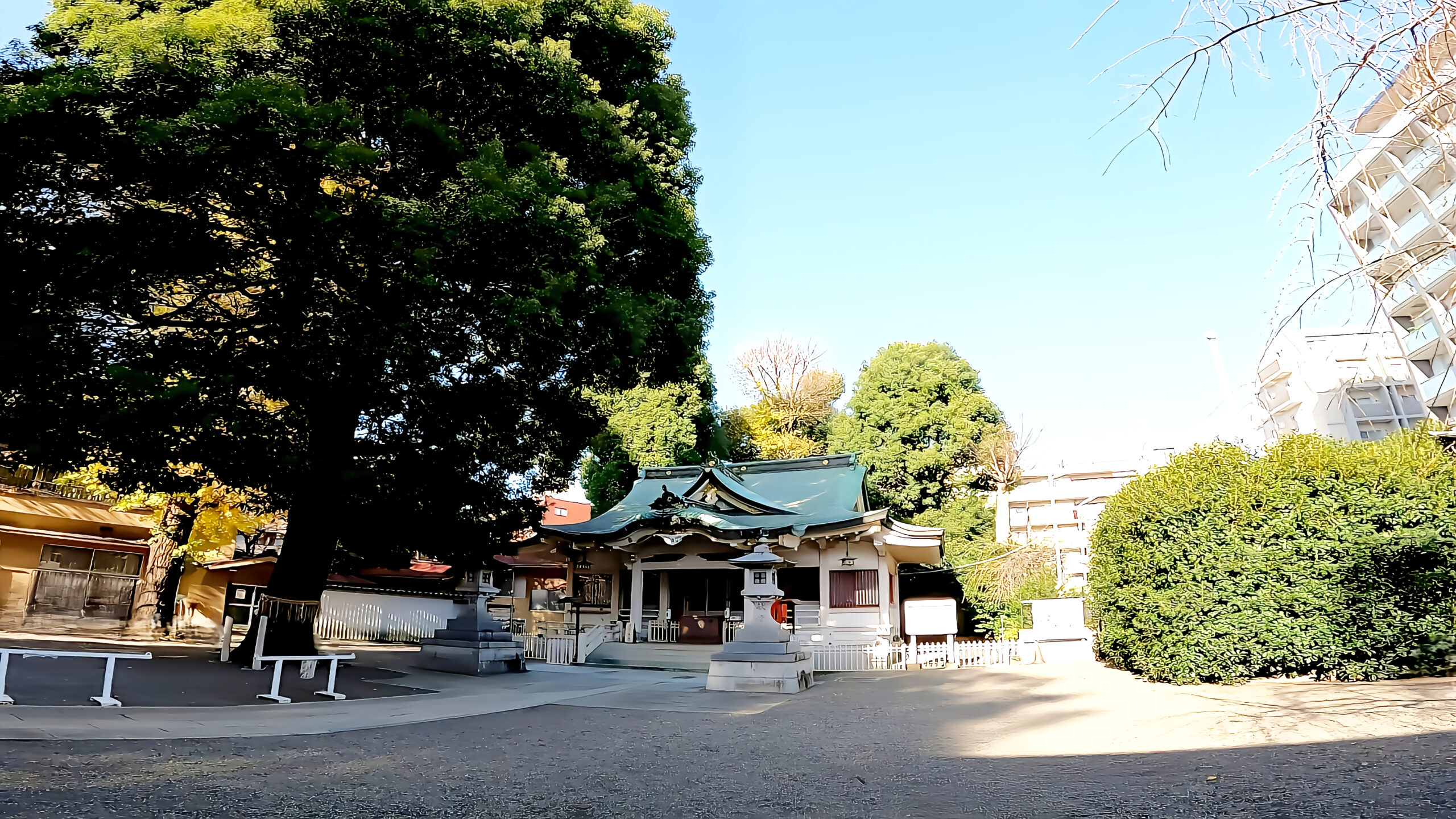 荻窪白山神社|杉並区上荻