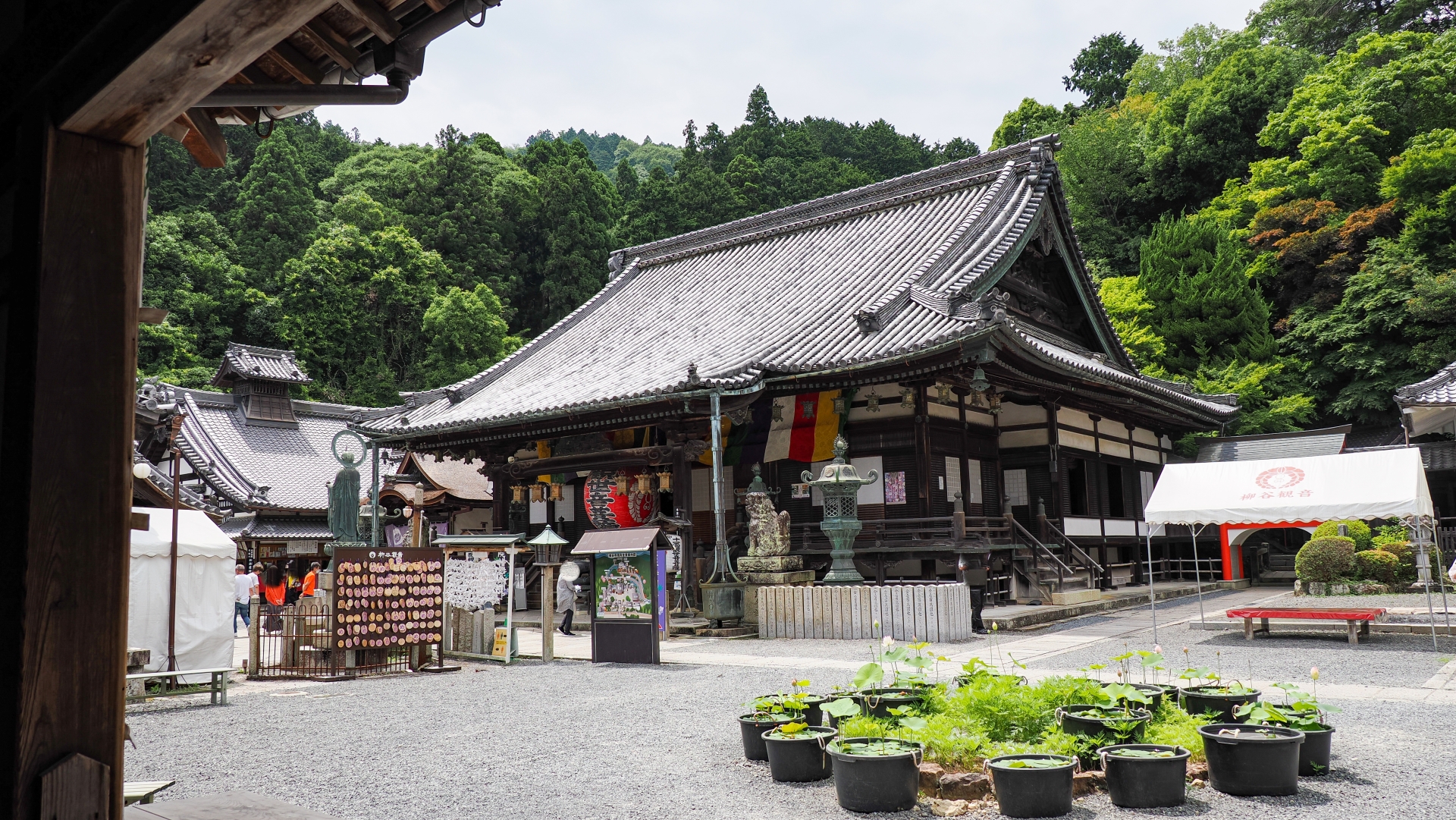 楊谷寺(柳谷観音)