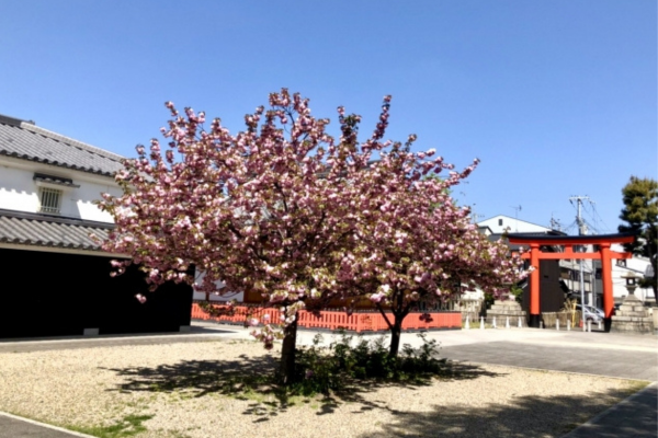 伏見稲荷大社御旅所