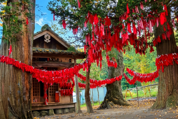 卯子酉神社