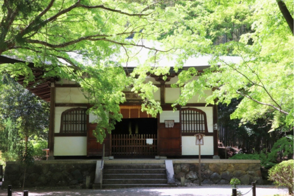 地蔵院（竹の寺）
