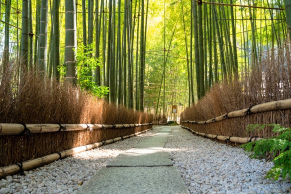 報国寺