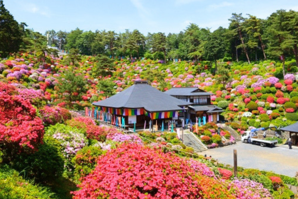 塩船観音寺