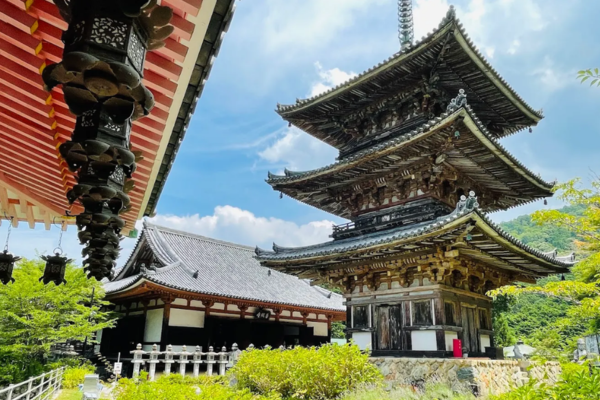 壷阪寺（南法華寺）