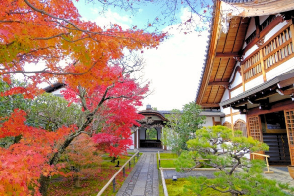 大徳寺