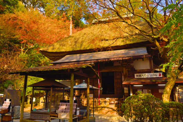 大興善寺