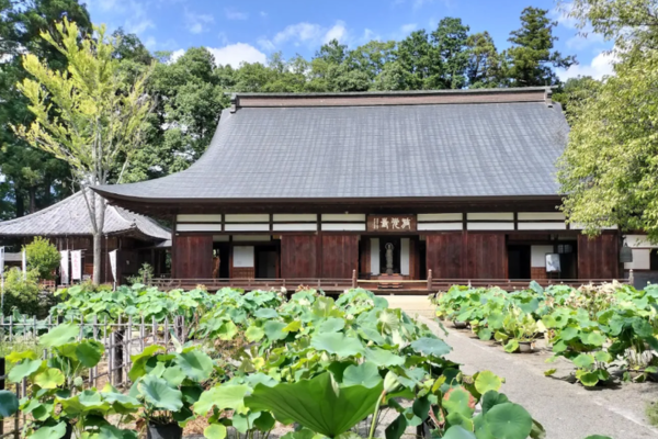放光寺