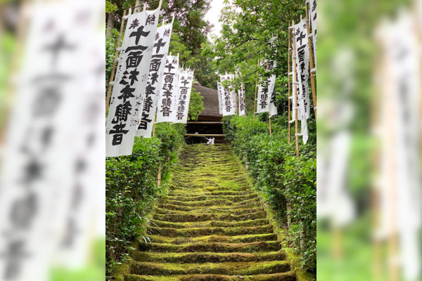 杉本寺