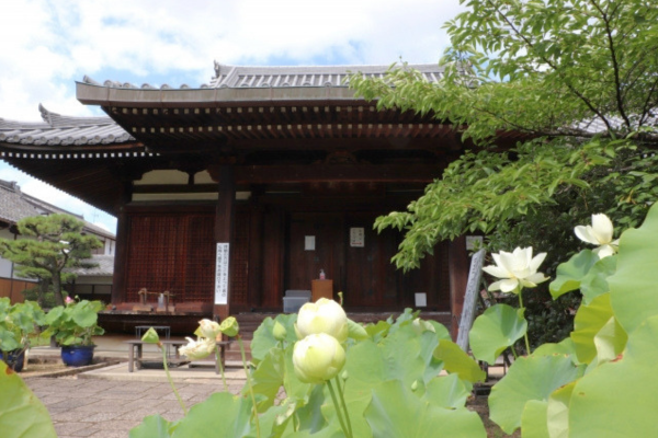 法金剛院
