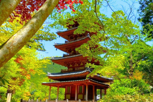 海住山寺