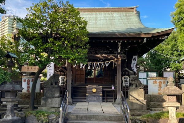 渋江白髭神社