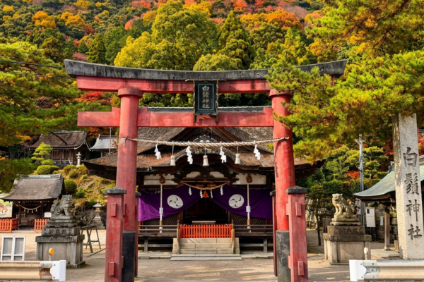 白鬚神社