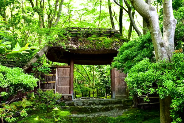 祇王寺