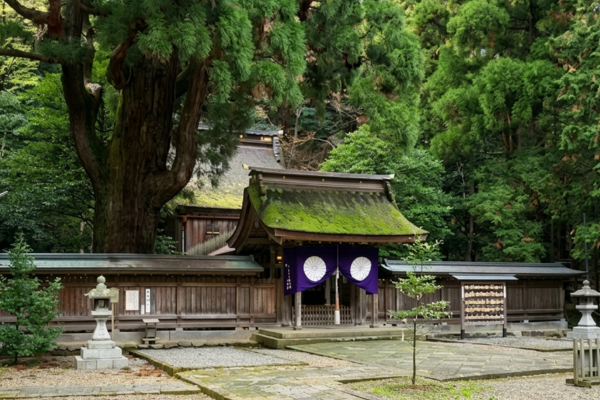 若狭彦神社