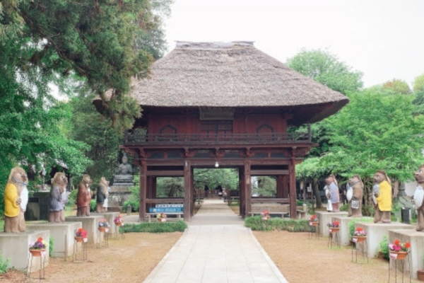 茂林寺