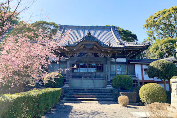 蓮着寺