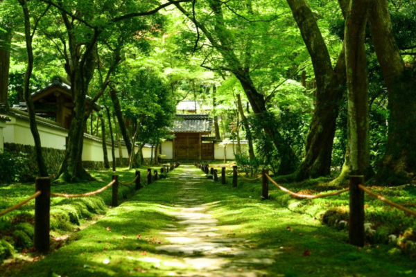 西芳寺（苔寺）
