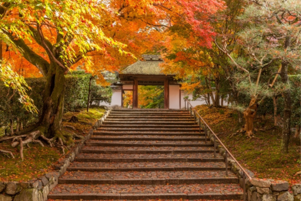 鈴虫寺（華厳寺）
