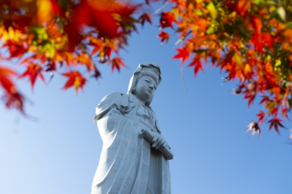 高崎白衣大観音（慈眼院）
