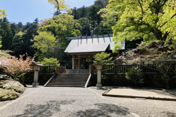 安房国一宮 安房神社